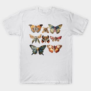 Vintage Moth Entomology Pin Up T-Shirt